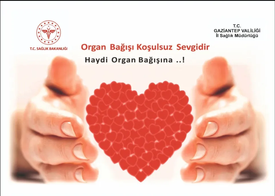 Bir bağış, birden fazla hayat!